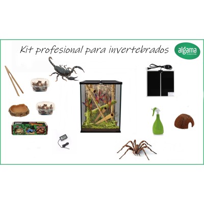 Kit profesional para invertebrados